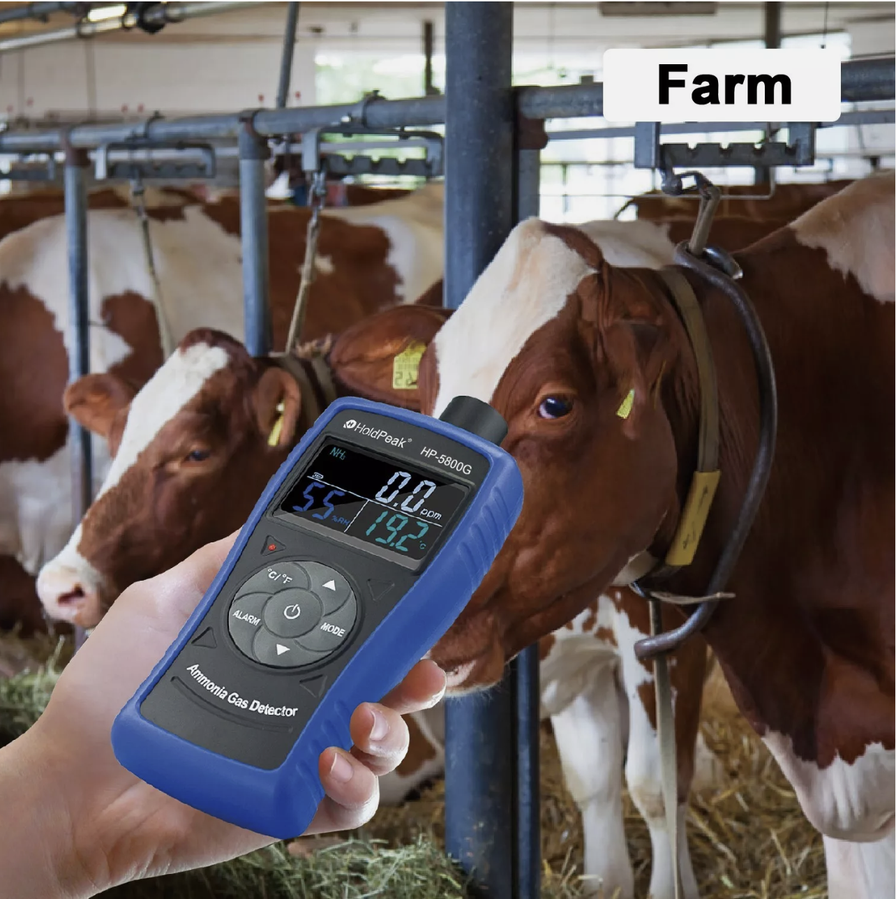 Ammonia Gas Detector NH3 Tester Monitor Professional Meter for Industrial Use