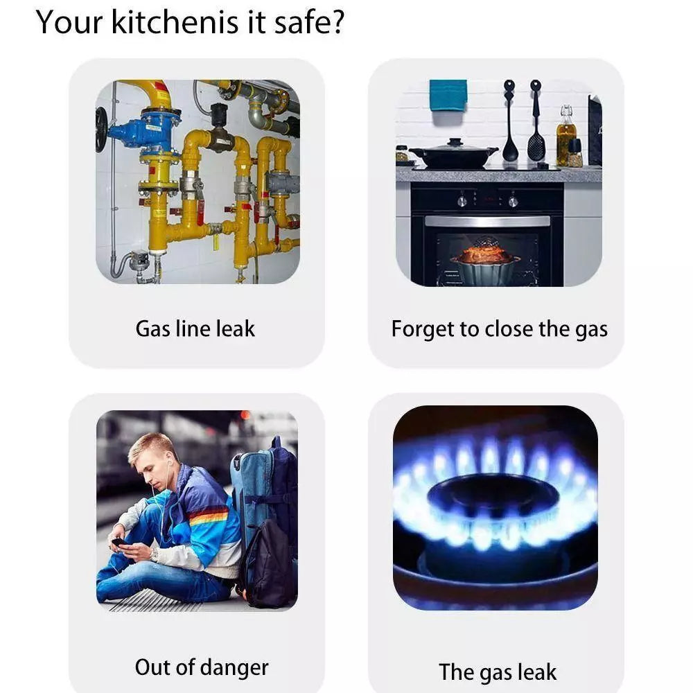 Gas Leak Detector for Home Kitchen with Smart House Alarm Sensor