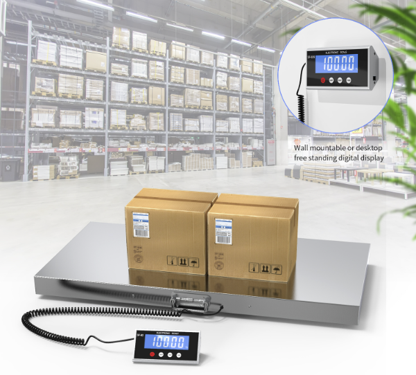 Scale Digital Pet Electronic Weigh 500KG x 0.1kg AC Weighing Back-lit Blue LCD 100X50CM