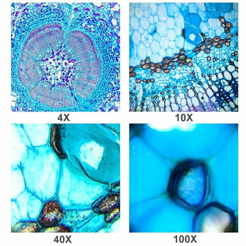 Trinocular Compound Microscope 64X-1600X Professional Lab Biological Microscope