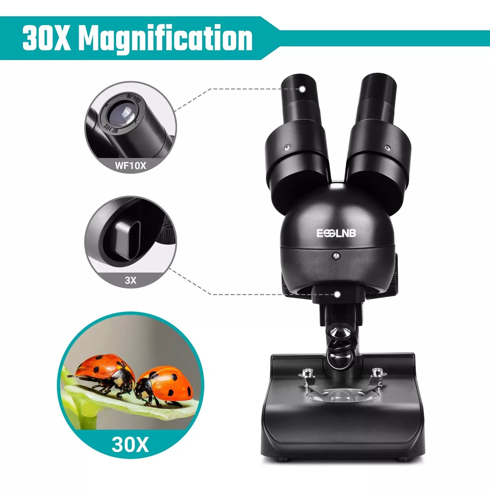 Microscope Stereo 30x with Top & Bottom Illumination For Factories Laboratories Schools